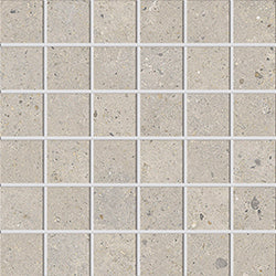 Biophilic Greige 5x5 Mosaic