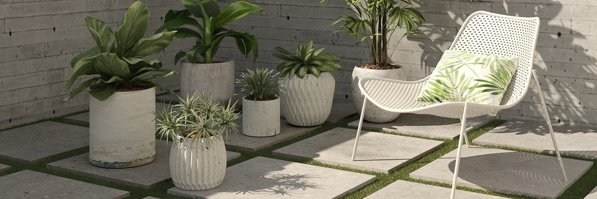 2cm Biophilic D-Grey 60x60