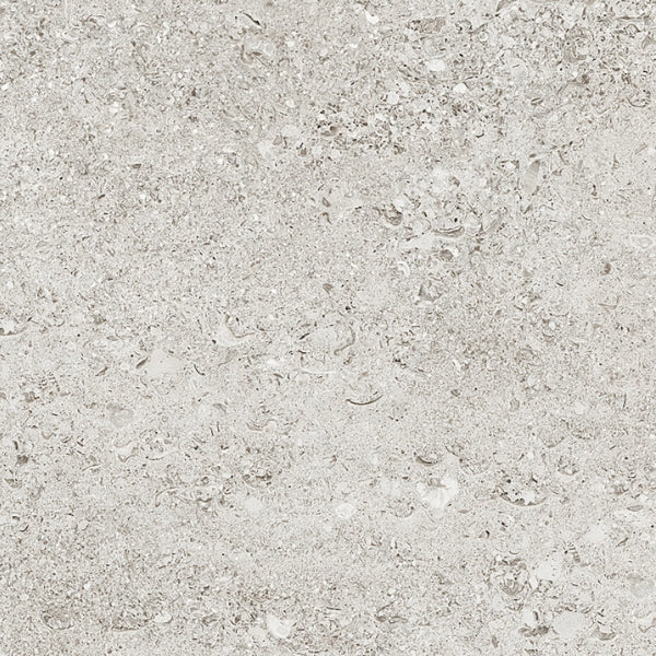 CM Shell White 60x60