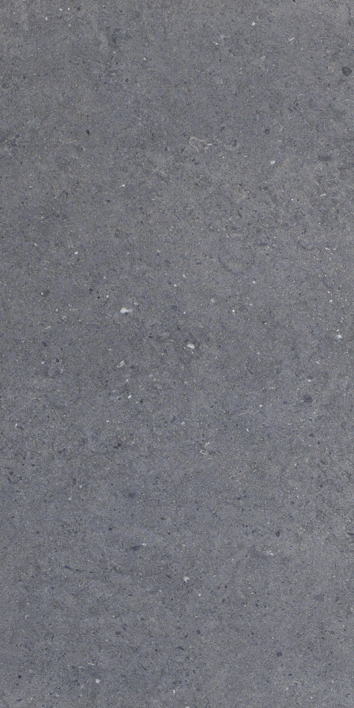 Concrete Nero 60x120 Matt