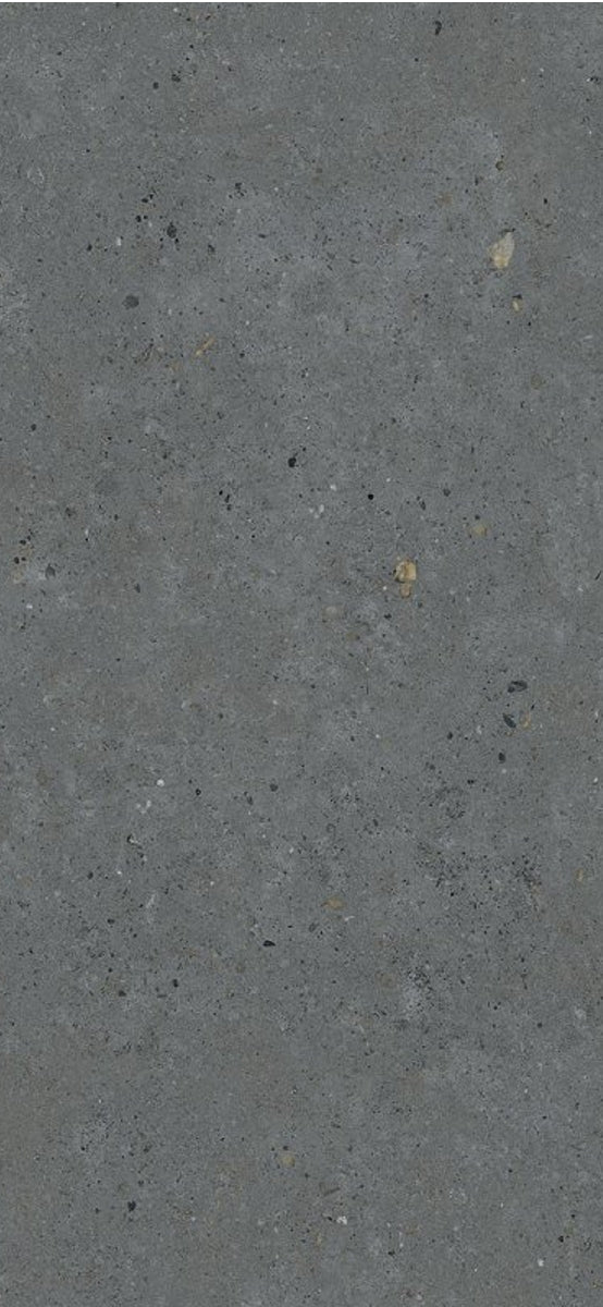 Biophilic D-Grey 60x120