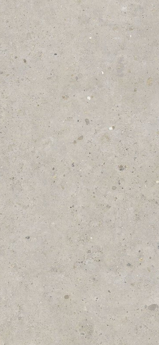Biophilic Greige 60x120