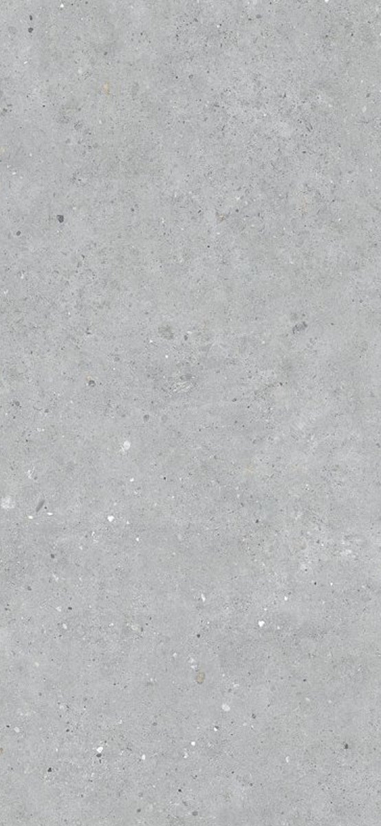 Biophilic Grey 60x120