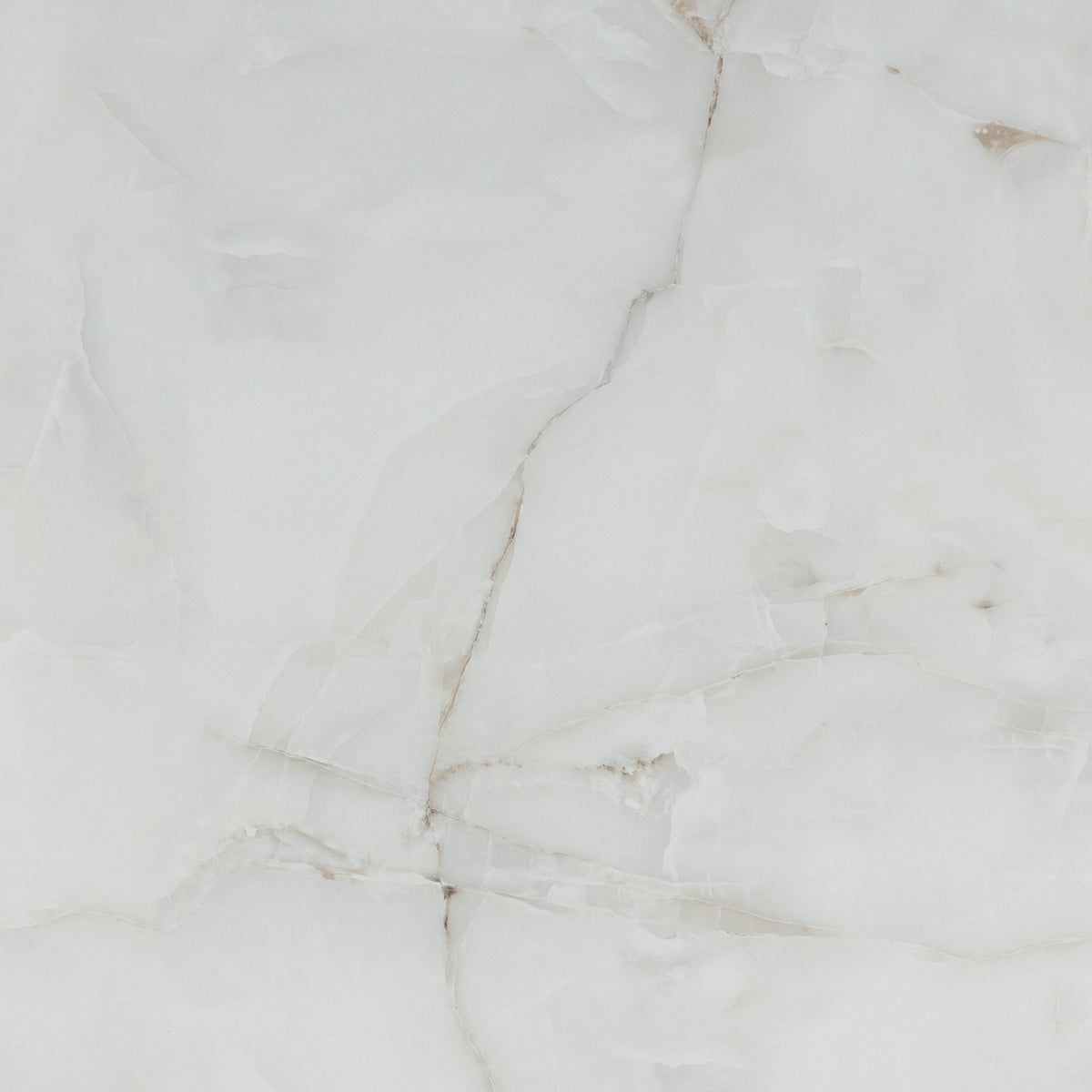 Onice Bianco 120x120 Glossy
