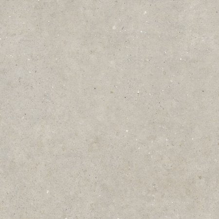 2cm Biophilic Greige 60x60