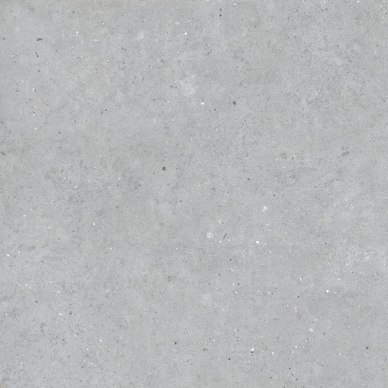 Biophilic Grey 60x60