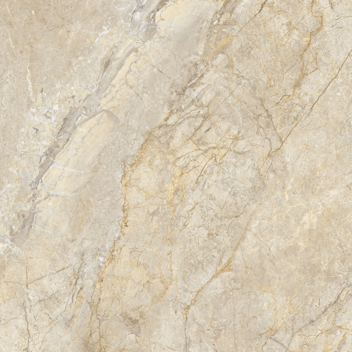 Royal Beige 60x60