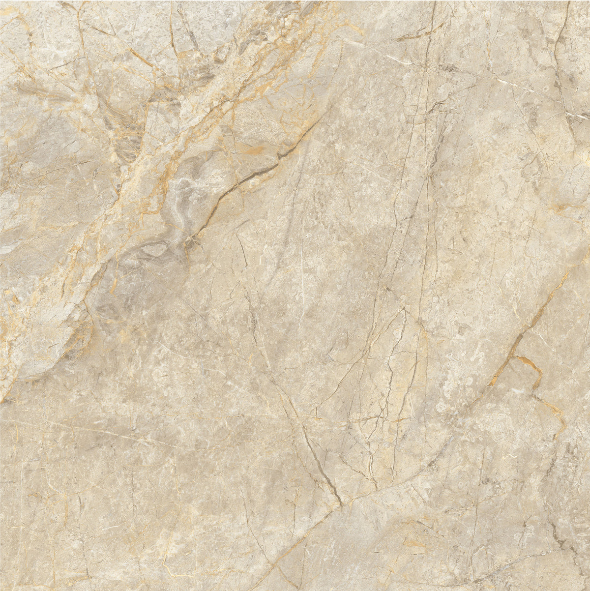 Royal Beige 60x60