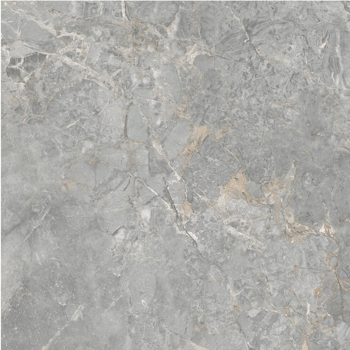 Royal Dark Grey 60x60
