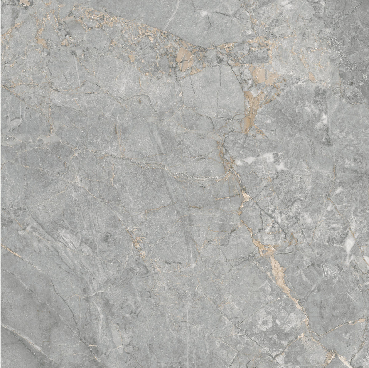 Royal Dark Grey 60x60