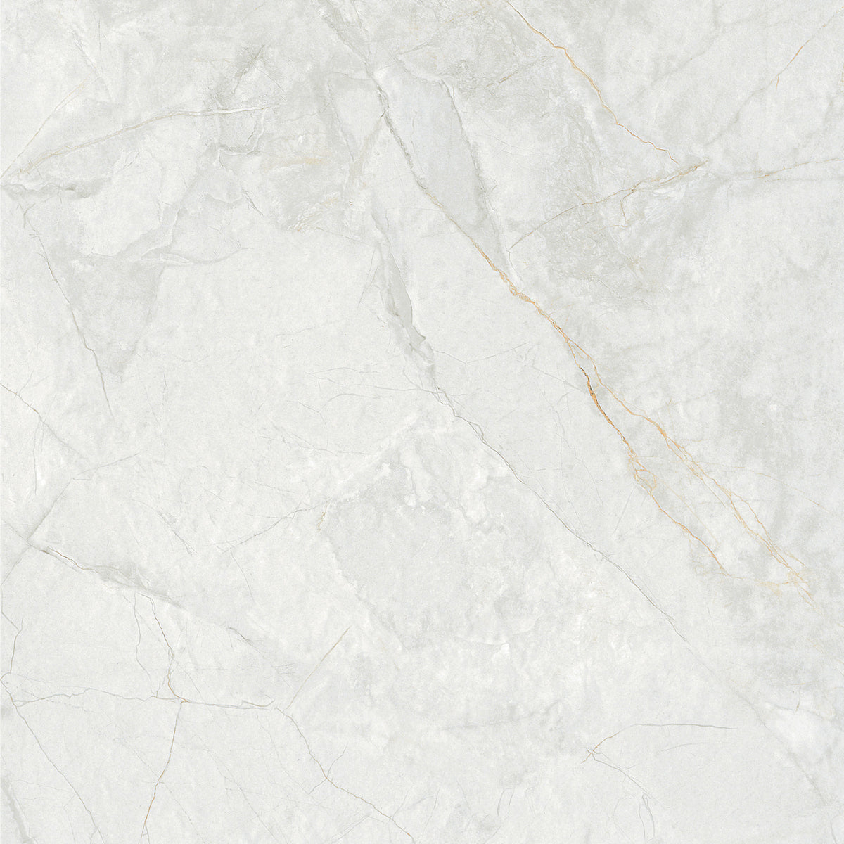 Royal White 60x60