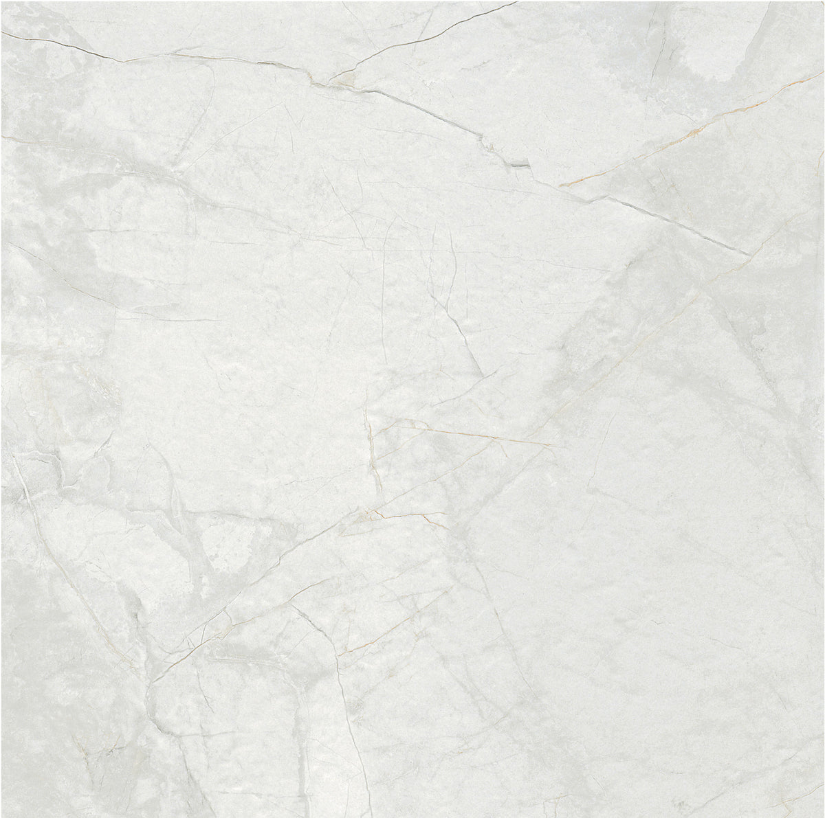 Royal White 60x60