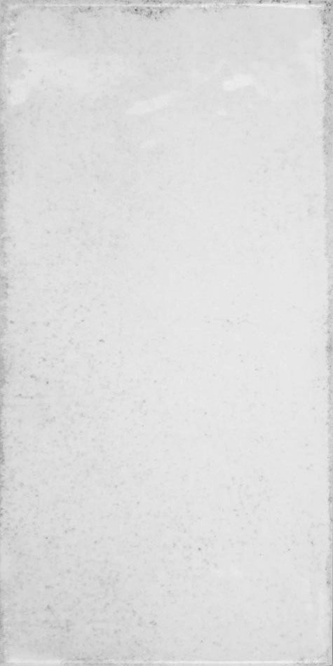MTV Vita Bianco 10x20