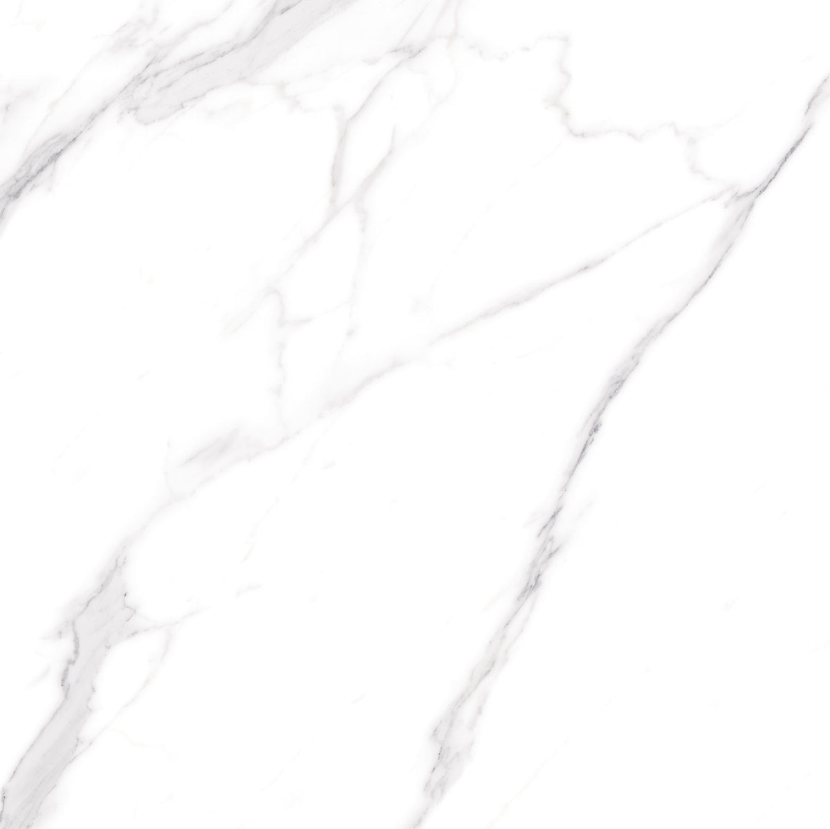 Carrara 80x80 FB80015