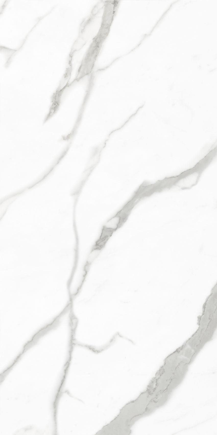 Marmo Statuario 60x120