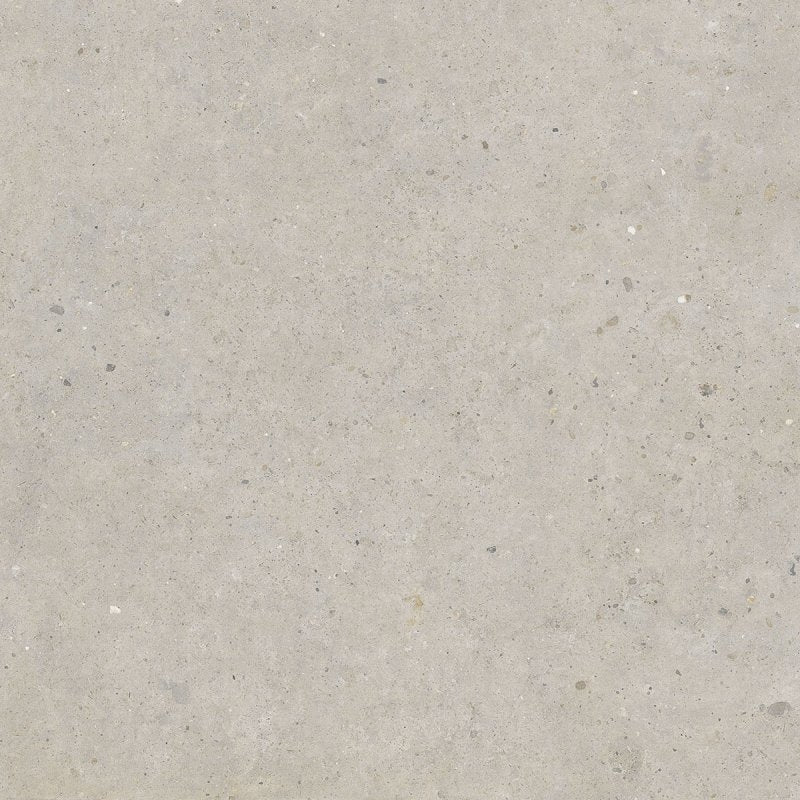 Biophilic Greige 120x120