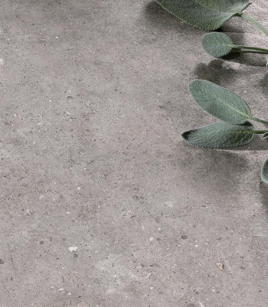 Biophilic Grey 120x120