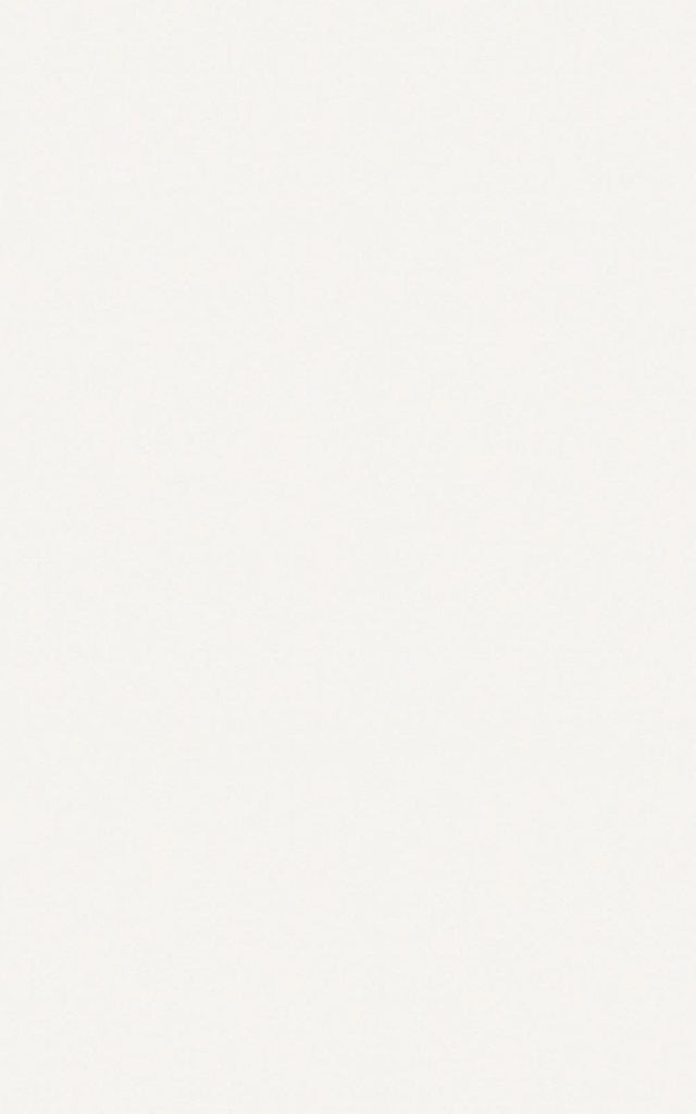 Blanco Brillo 25x40