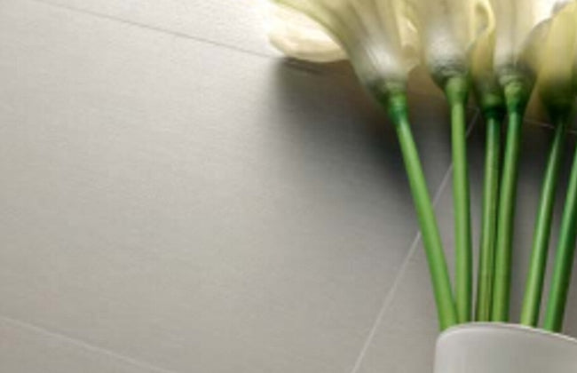 Bambu White 10x10